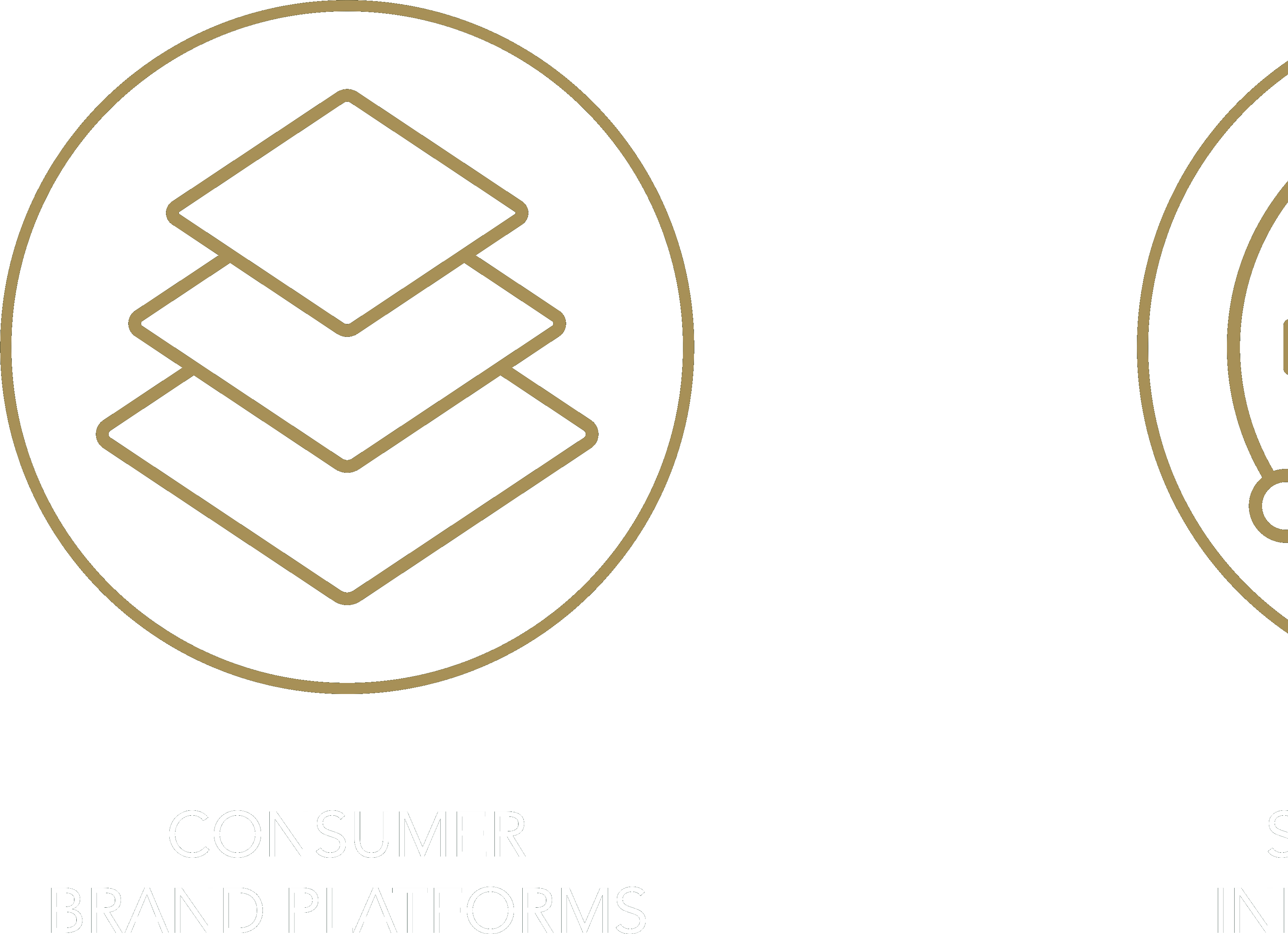 Consumer Brand Platforms